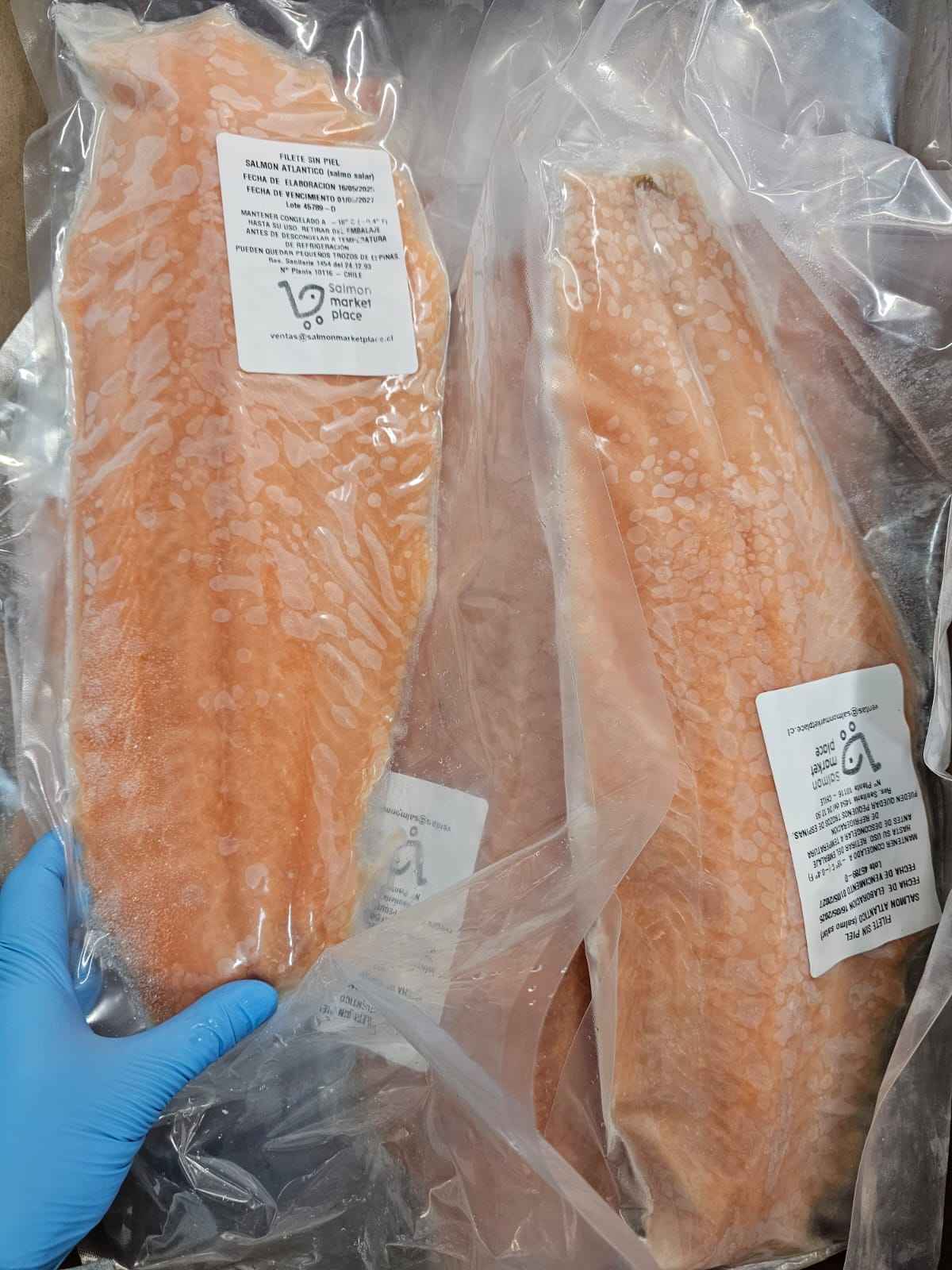 Filete Salmón Atlántico Sin Piel TE Premium Select 1-2lbs 1.5 kgs