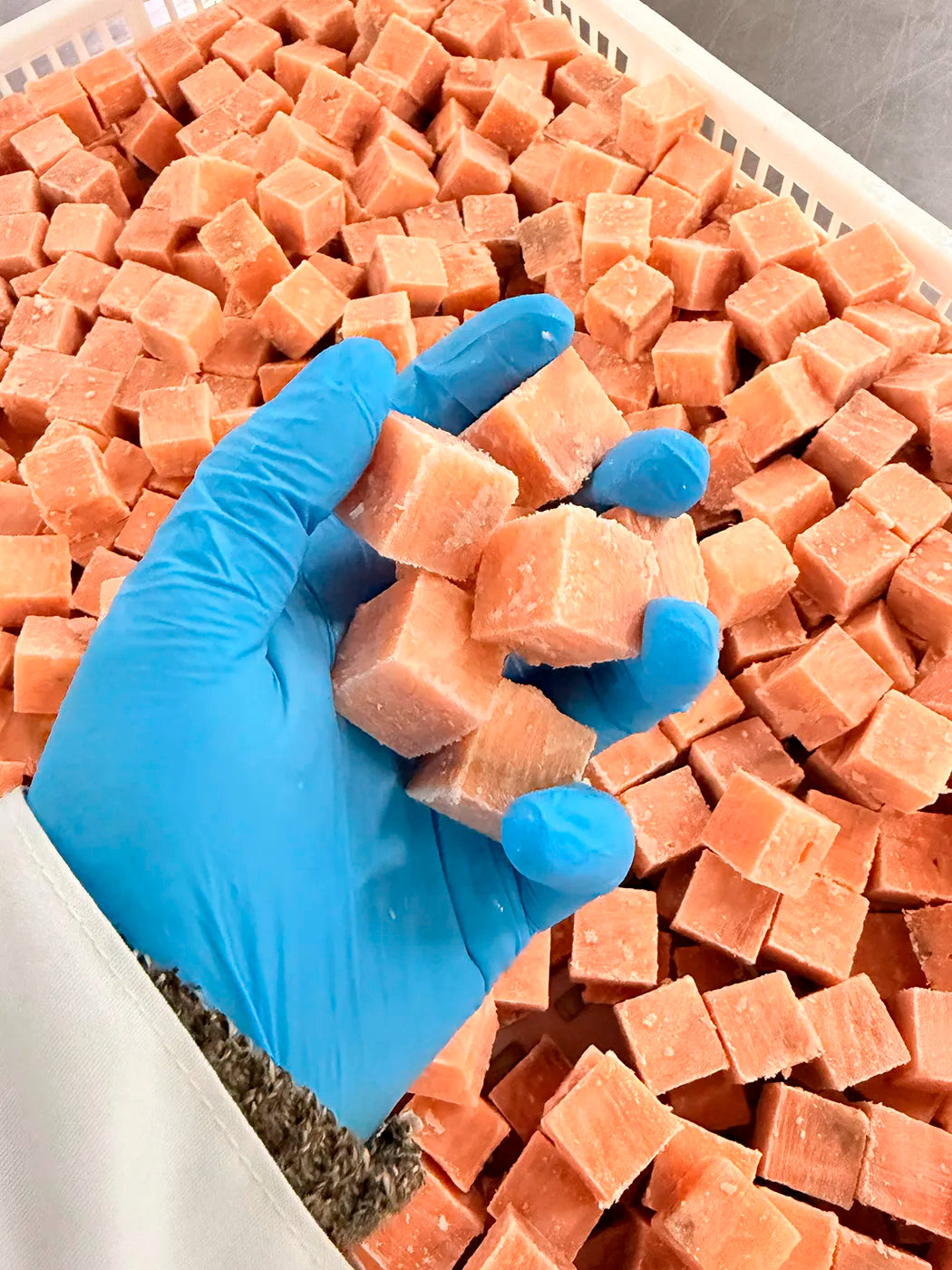 Cubos perfectos de Salmón sin piel 1kg