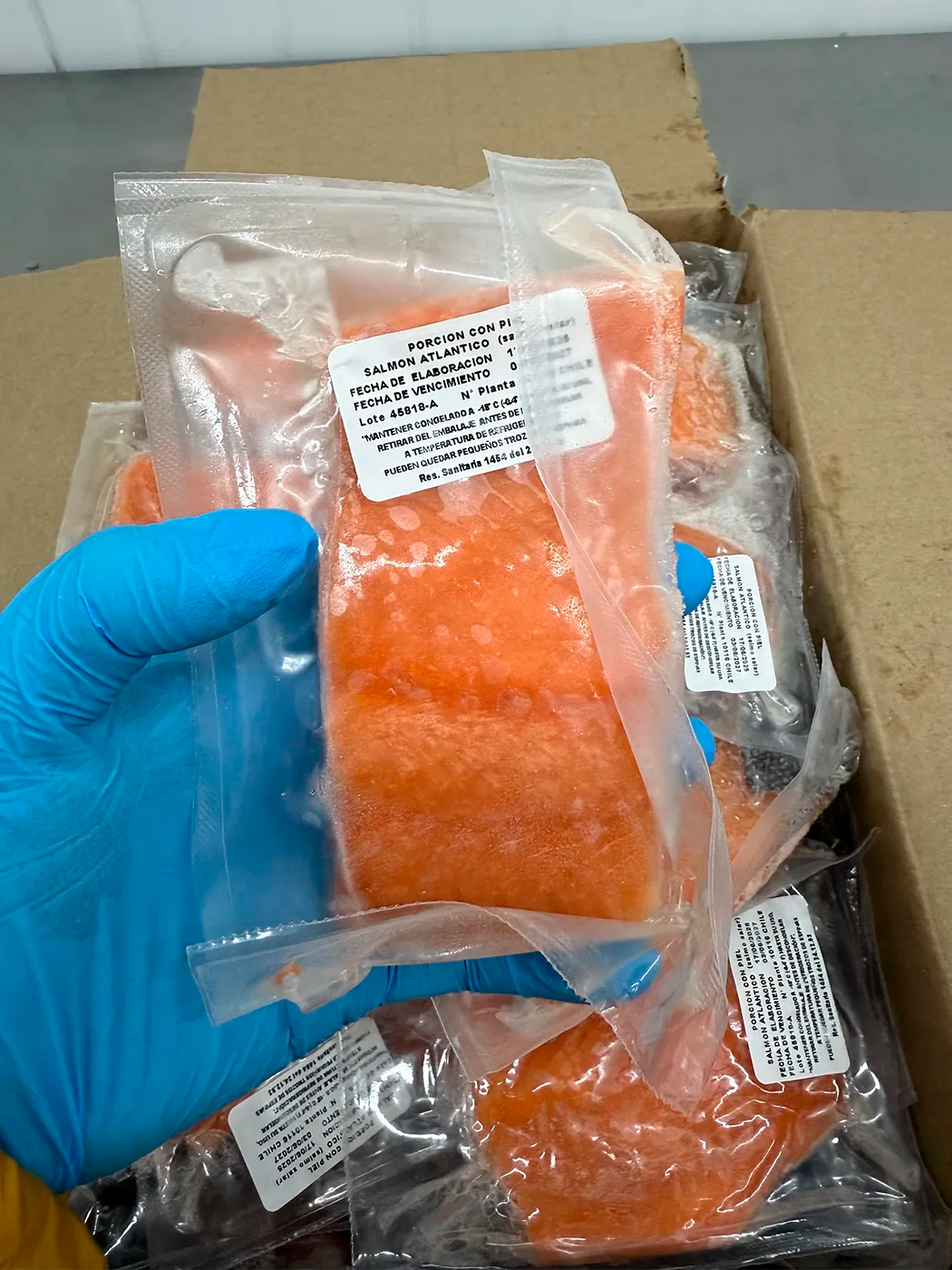 Caja Trozo Salmón con piel 5 kg (100–200 gr)