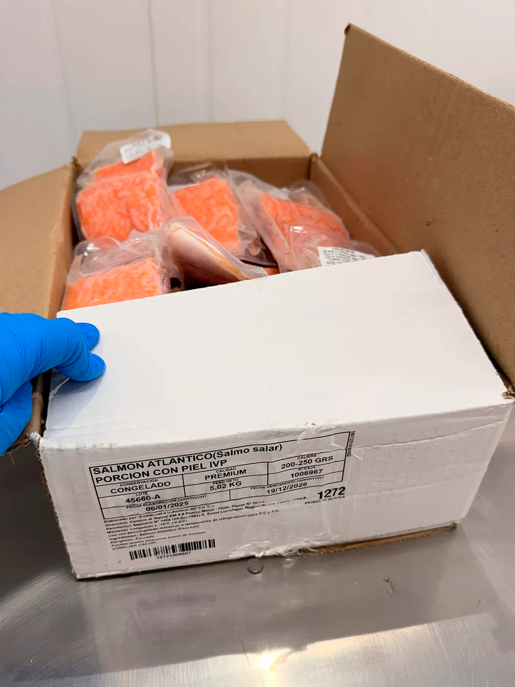 Caja Porciones Salmón Premium con piel 200-300 grs. 5kg