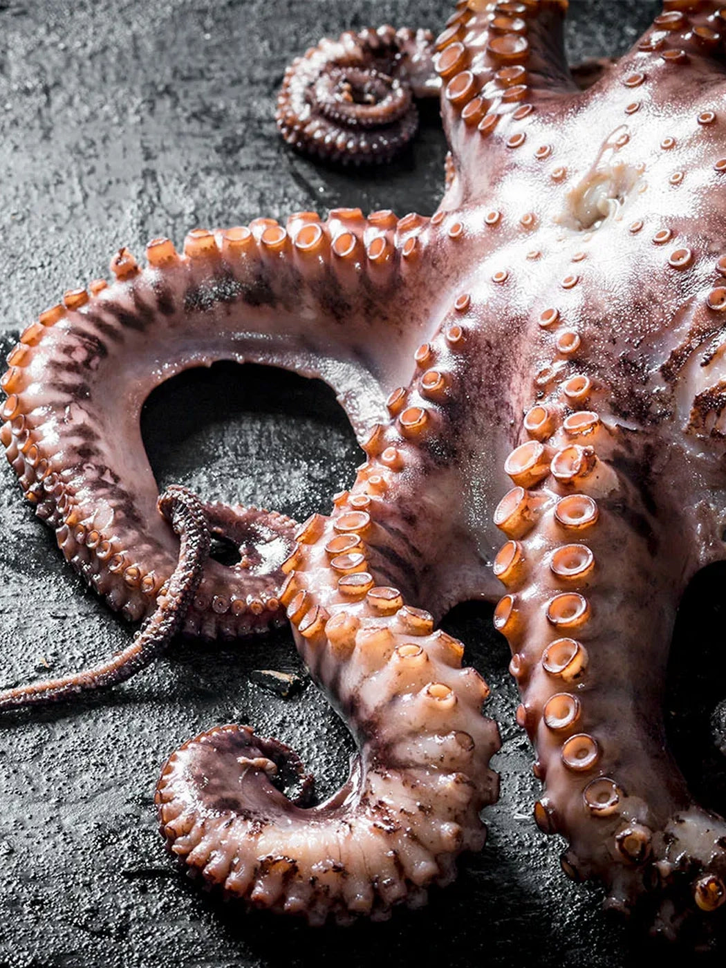 Pulpo del Norte calibre 1-2 kg (Peso Variable) 2Kg